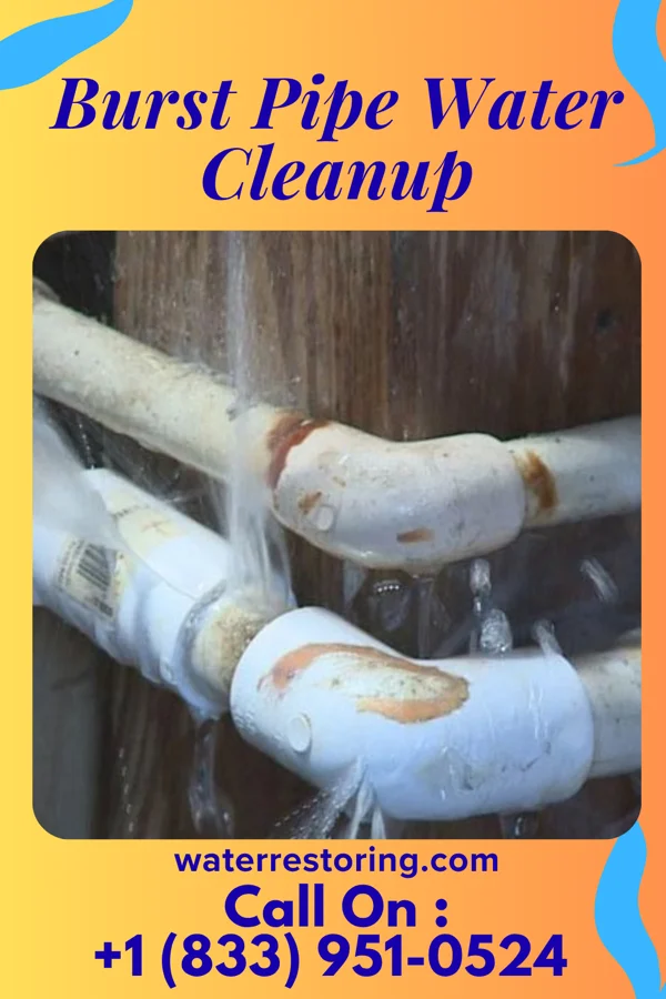 Burst Pipe Water Cleanup in Sweetwater, NJ