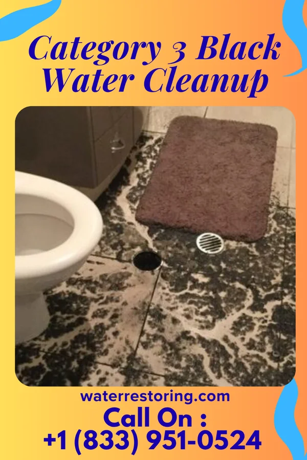 Category 3 Black Water Cleanup in Sweetwater, NJ