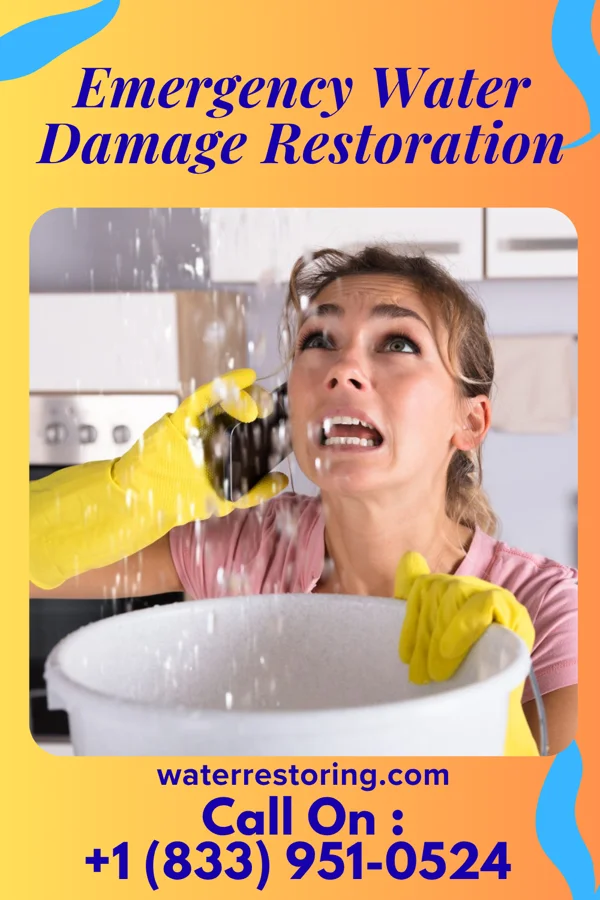 Emergency Water Damage Restoration in Sweetwater, NJ