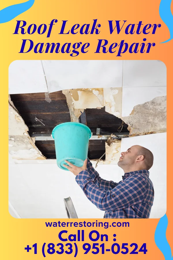 Roof Leak Water Damage Repair in Sweetwater, NJ
